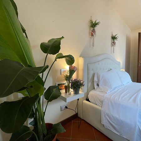 דירות ורונה Montecchi House מראה חיצוני תמונה