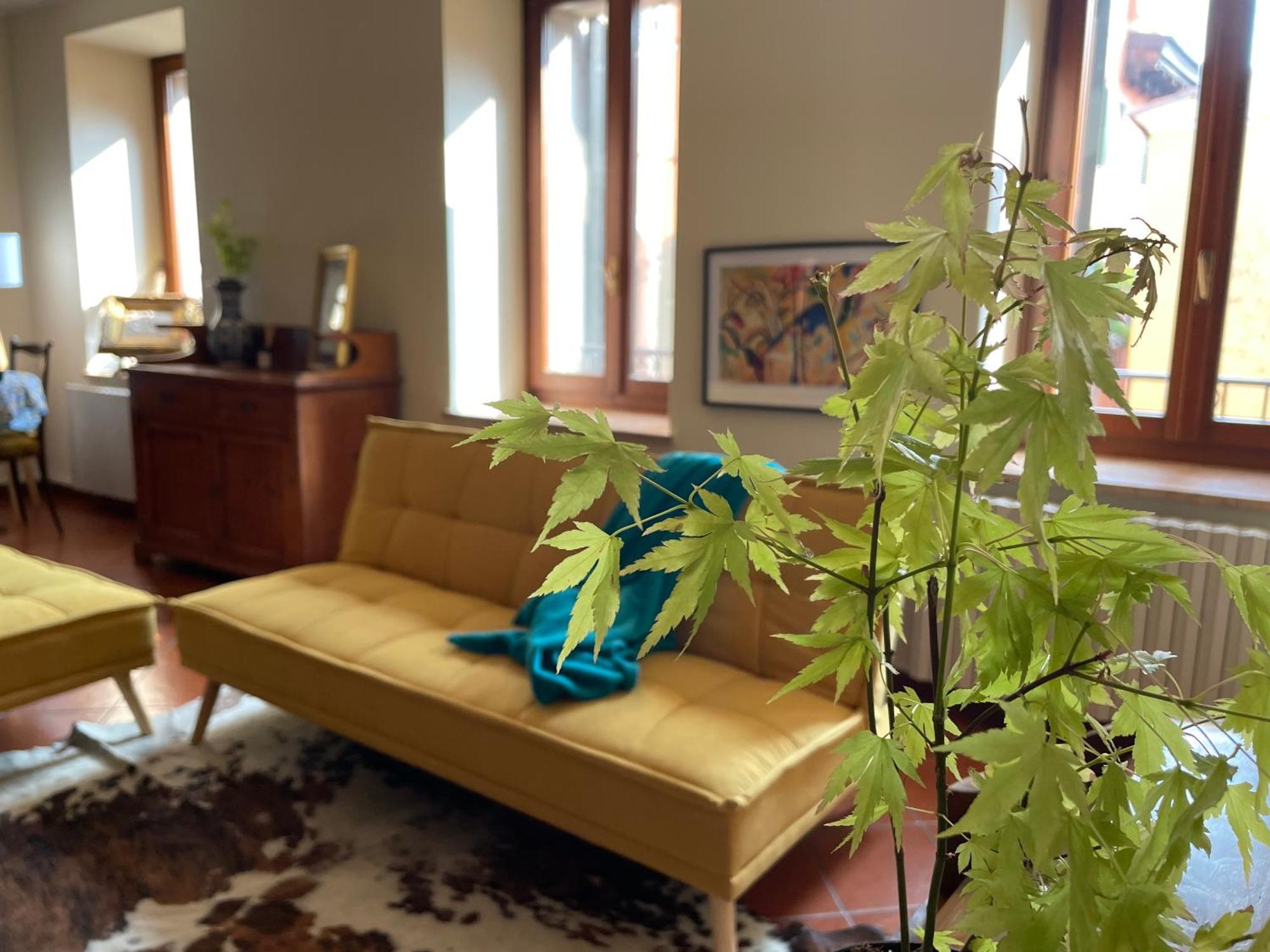 דירות ורונה Montecchi House מראה חיצוני תמונה